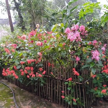 Meikha Homestay Pynursla Buitenkant foto