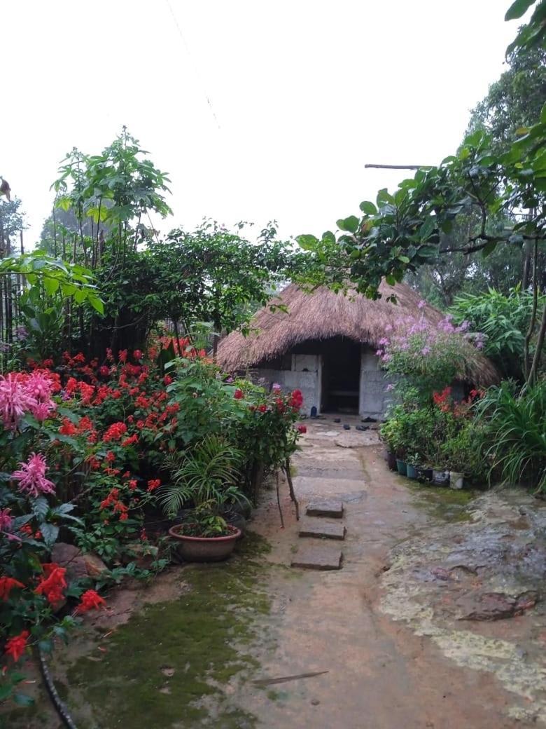 Meikha Homestay Pynursla Buitenkant foto