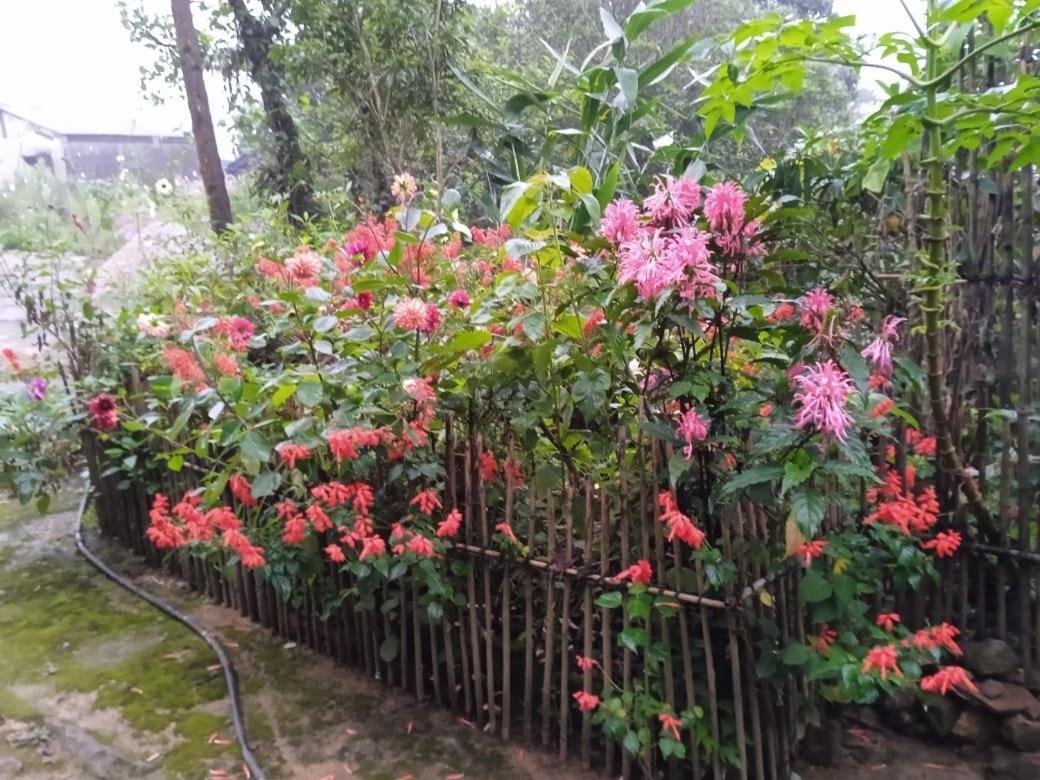 Meikha Homestay Pynursla Buitenkant foto